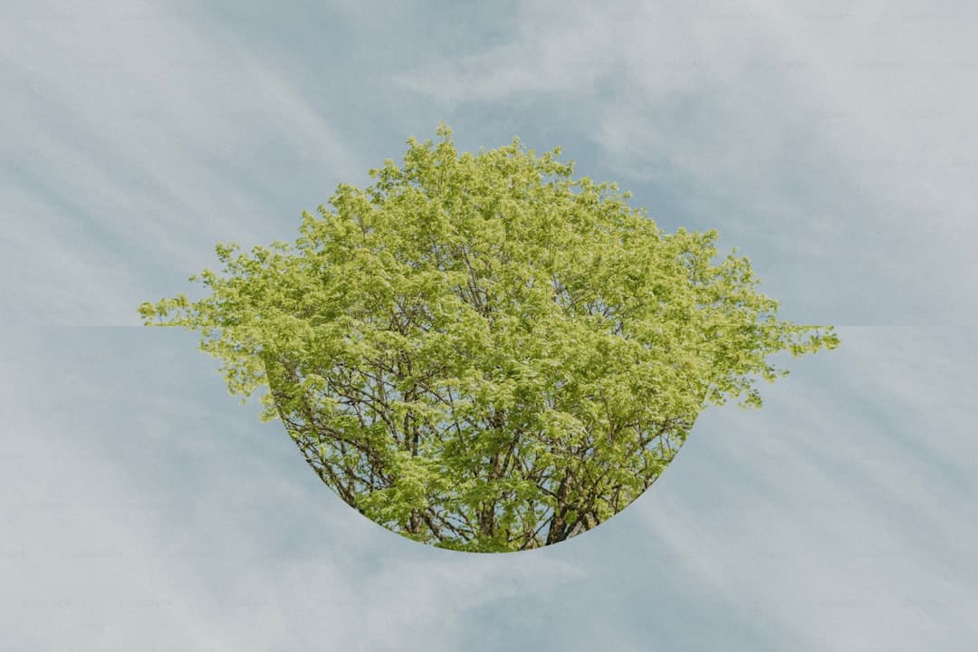 挺立的军姿 民族的脊柱